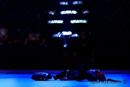 UFC dan to'rt nafar jangchi haydaldi
