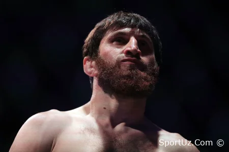 UFC yarim og'ir vazn toifasida: Ankalaev yana Pereyra bilan revanshda o'z vazifasini bajaradi
