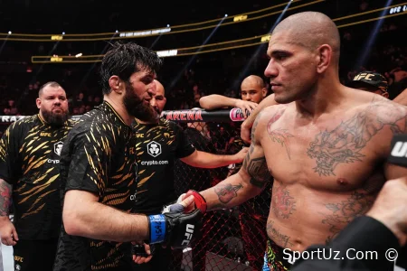 Magomed Ankalaev va Aleks Pereyraning UFC 320 oldidan so'nggi qarashlari jangi