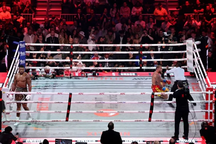 Demetrius Jonson mag'lubiyatga uchraganidan keyin Jeyk polga maslahat berdi Entoni Joshua