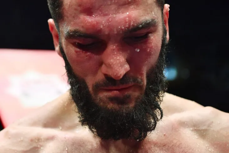 Sichqoncha menejeri Bivol — Beterbiy trilogiyasi nima uchun sodir bo'lmasligi mumkinligini aytdi