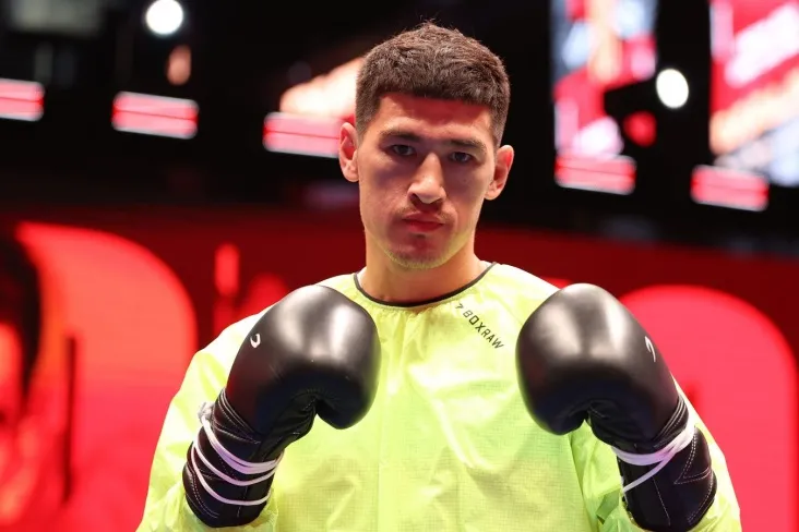 "Betonni urgandek." Bivol-raqiblarning eng kuchli iyagi haqida