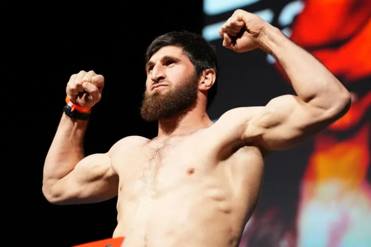 "Siz shunchaki nokautga uchradingiz, bahona qilmang." Ankalaev Proxazkaga murojaat qildi