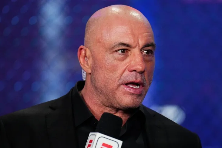 Jo Rogan Kamaru Usmon Hamzat Chimayevning yagona jiddiy raqibi ekanligini aytdi