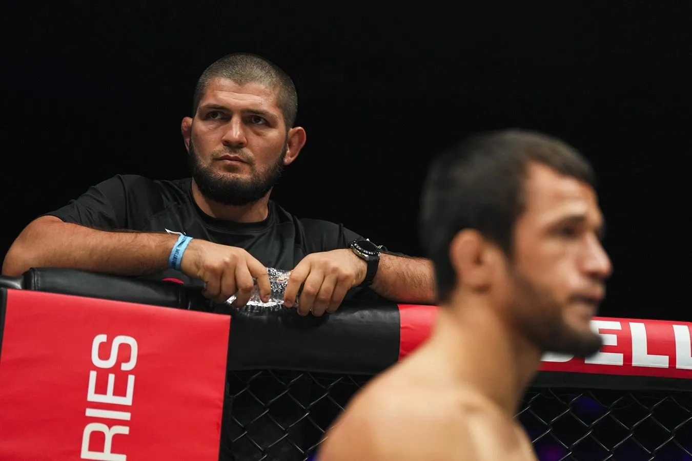 Xabib Usmon Nurmagomedov va Archi kolgan jangining e'loniga izoh berdi