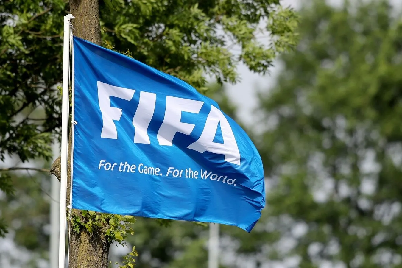 FIFA Somali hakamining AQShga kirishni rad etgani uchun 2026 yilgi jahon chempionatiga yo'l qo'ymasligini tasdiqladi