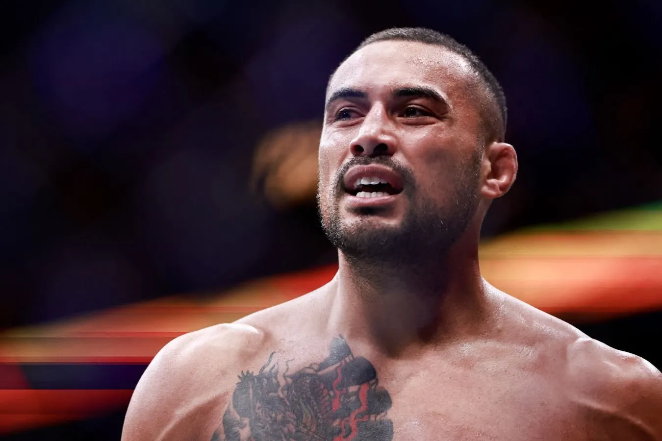 "Ko'rishguncha". UFC chempioni Ulberg Aleks Pereyra bilan jang qilish istagini bildirdi