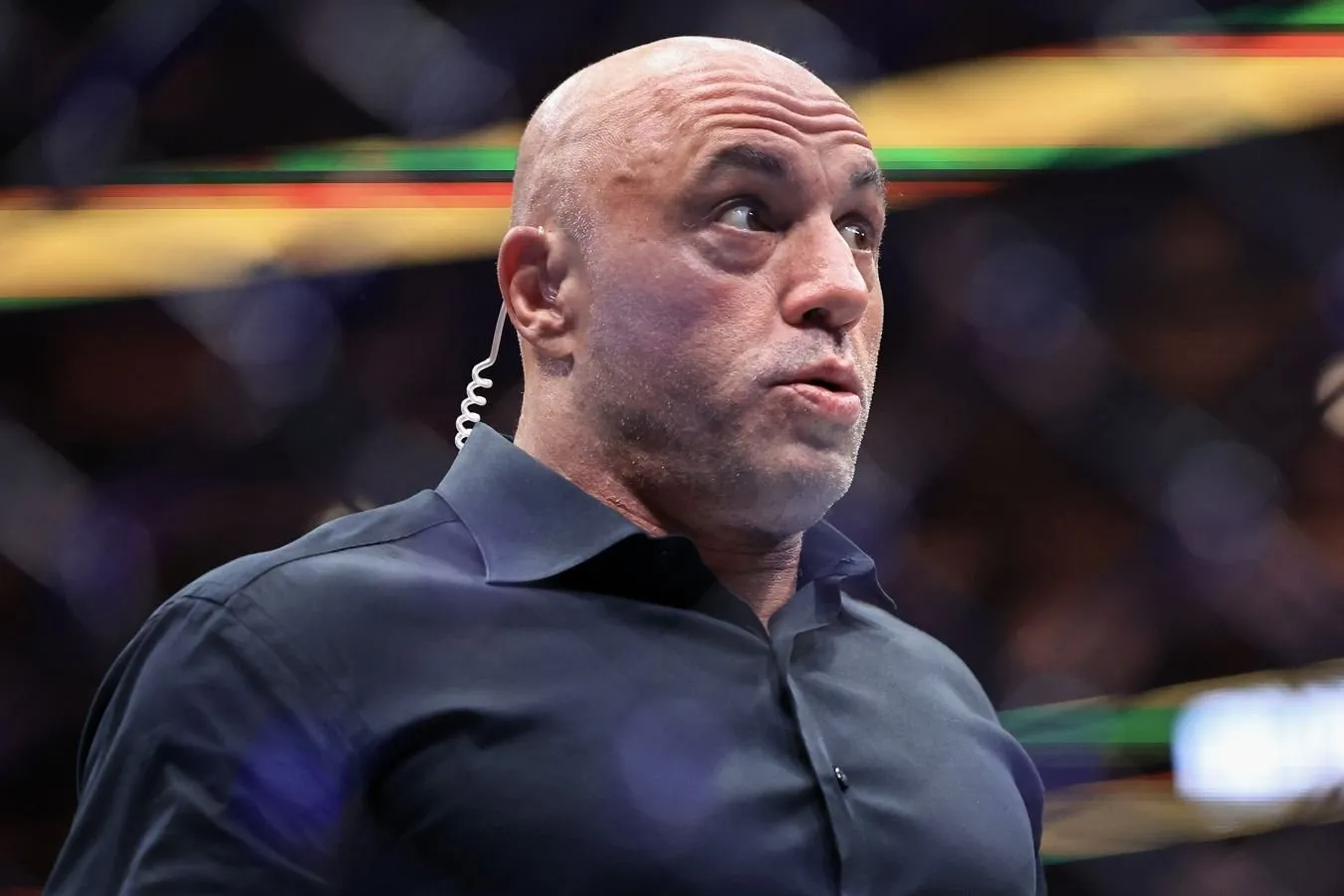 "Umid qilamanki, bizni terrorchilar portlatmaydi." Rogan-Trampga oq uyda UFC turnirida