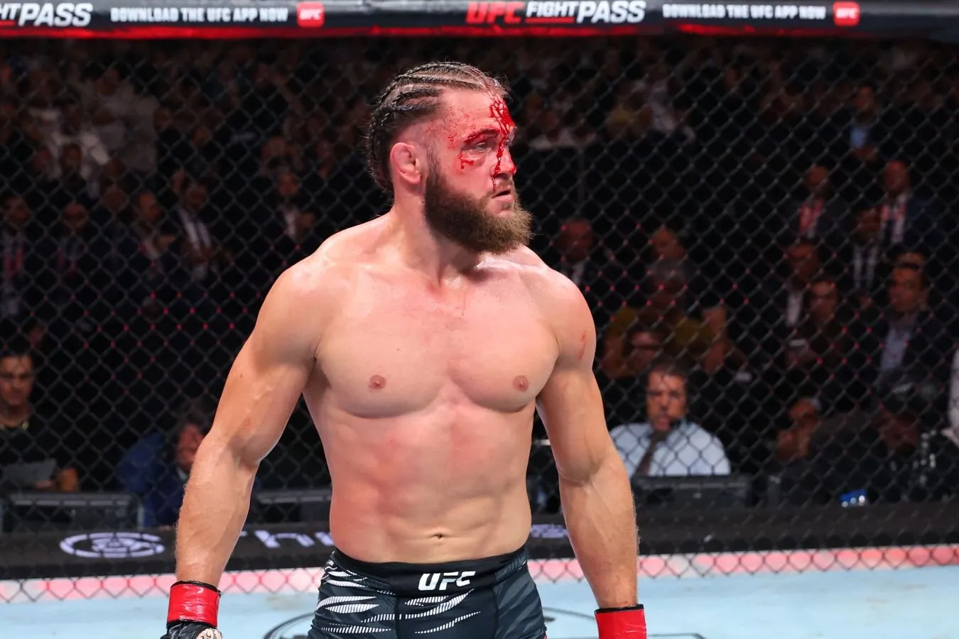 Ozarbayjonda UFC Fight Night 280: jonli efir, onlayn translyatsiyani qanday va qayerda tomosha qilish kerak