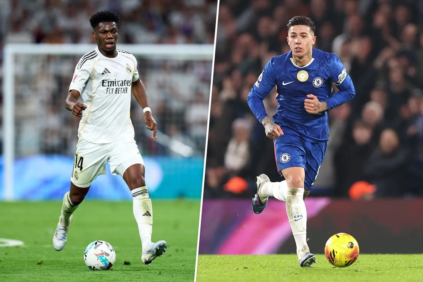 "Real" Enzo Fernandesning transferi uchun Tchuameni sotishni rejalashtirmoqda — talkSPORT