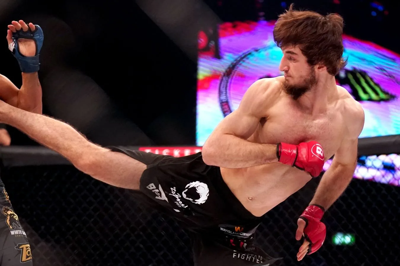 Hasan Magomedsharipov akasini almashtiradi zabit Rosas bilan ACBJJ 21 musobaqasida