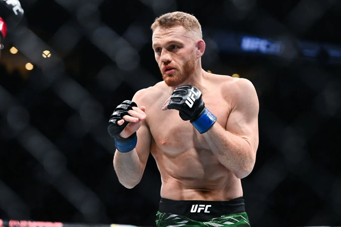 Maks Xollouey McGregor bilan revansh oldidan Della Maddalena bilan mashg'ulotlar haqida gapirdi