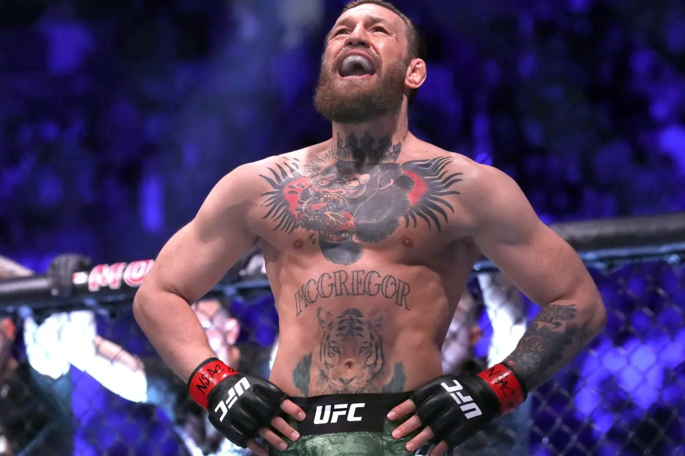 Konor Makgregor: jang statistikasi, UFC reytingi, rekord, qancha g'alaba, mag'lubiyat