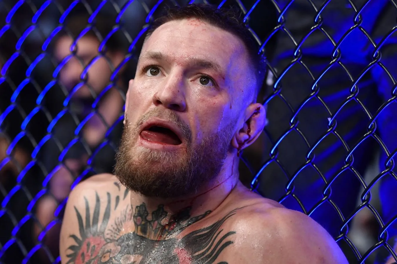 ACA jangchisi Aleksaxin UFC 329da Konor Makgregor va Maks Xollouey jangi uchun prognozni qoldirdi