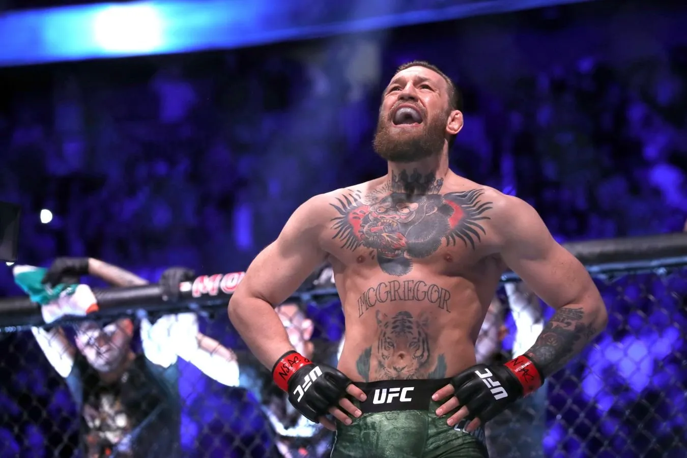 UFC 329 reklama tarixida kechqurun kassa rekordini o'rnatdi