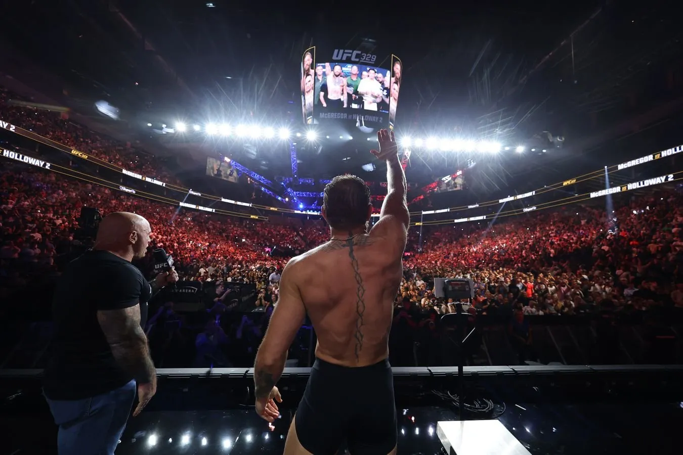UFC sharhlovchisi anik Makgregorning qaytishini pulga emas, sportga bo'lgan muhabbat deb atadi