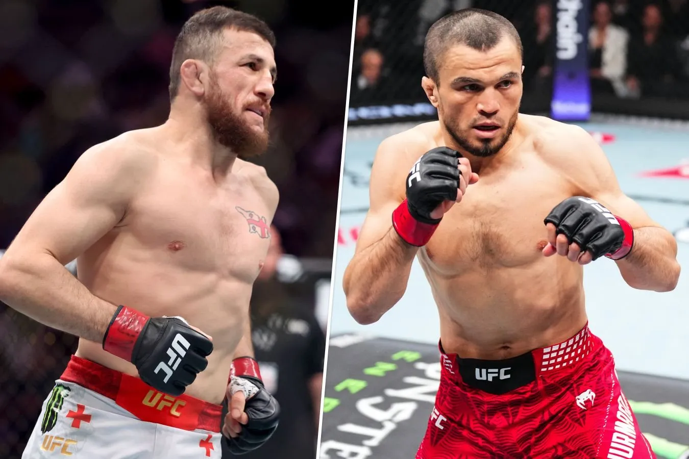Dvalishvili Umar Nurmagomedov haqidagi so'zlardan so'ng erkin kurash bo'yicha jahon chempionati sovrindori bilan jang qildi