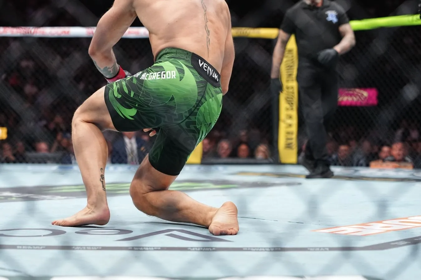"Oh, UFC, nega buni qilyapsiz?"Shifokor Makgregorning jarohatini tushuntirgani uchun ligani tanqid qildi