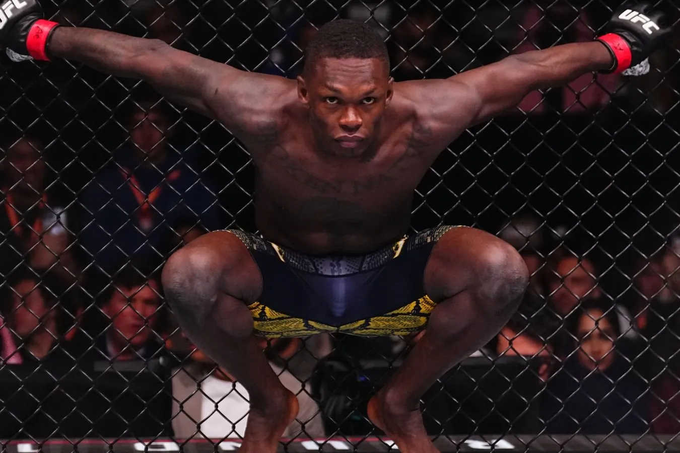 Adesanya jarohati bilan Pereyra bilan jangga chiqqanini aytdi