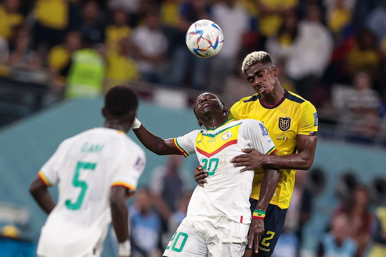 "Zenit" va "Krasnodar" Senegal terma jamoasining forvardiga bepul imzo chekmoqchi — AfricaFoot