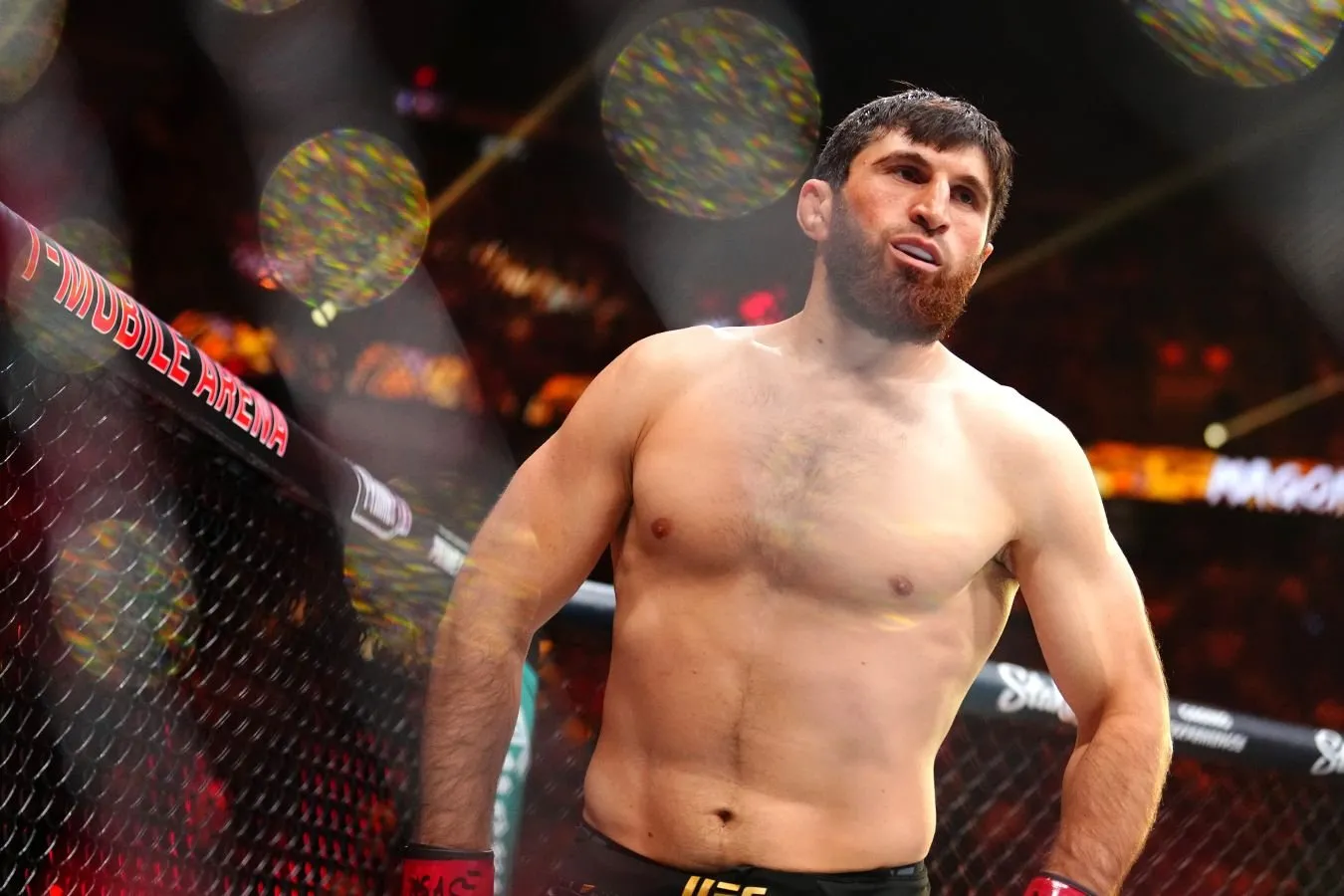 Magomed Ankalaev Aleks Pereyra bilan qasos olishda xato qilganini tan oldi