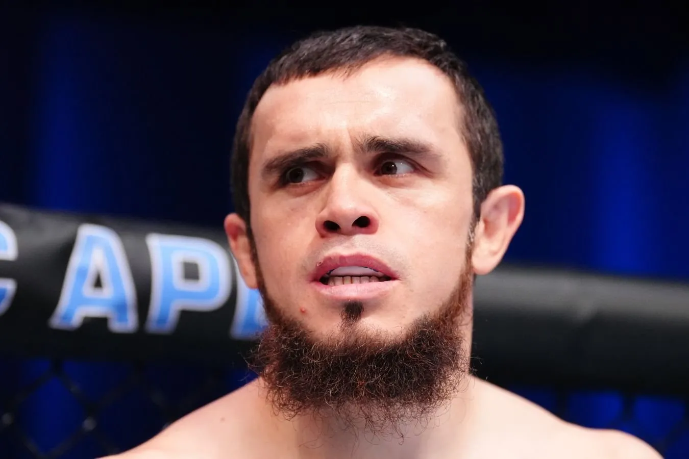 Mag'lubiyatsiz Magomed Zaynukov: men UFC chempioni bo'lishni xohlayman. Xuddi Habib qilganidek