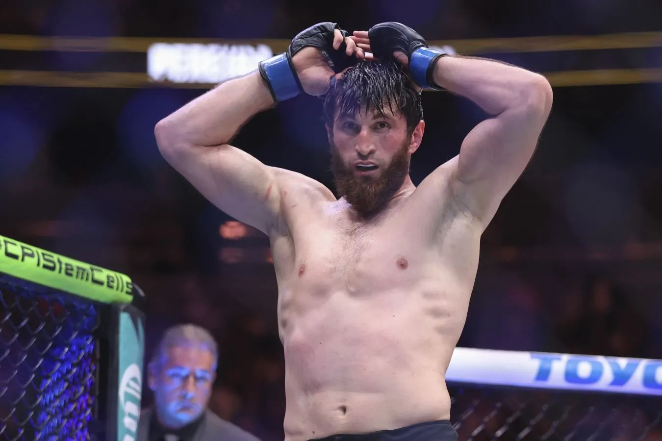UFC jangchisi Tuchalov: menimcha, Pereyra Ankalayevga raqib emas