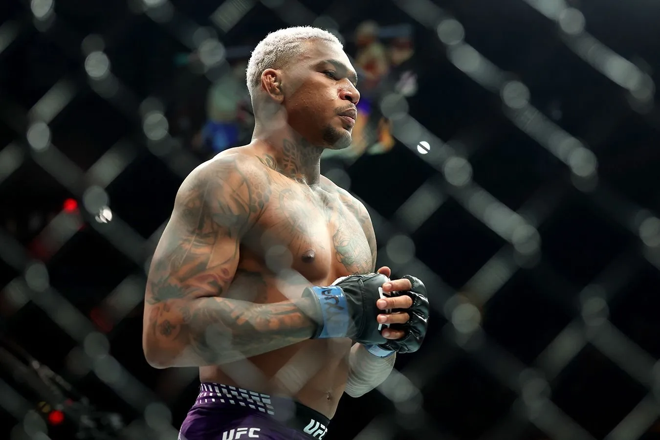"Men qo'rqaman." Mag'lubiyatsiz UFC jangchisi — Maxachev bilan mumkin bo'lgan jang haqida