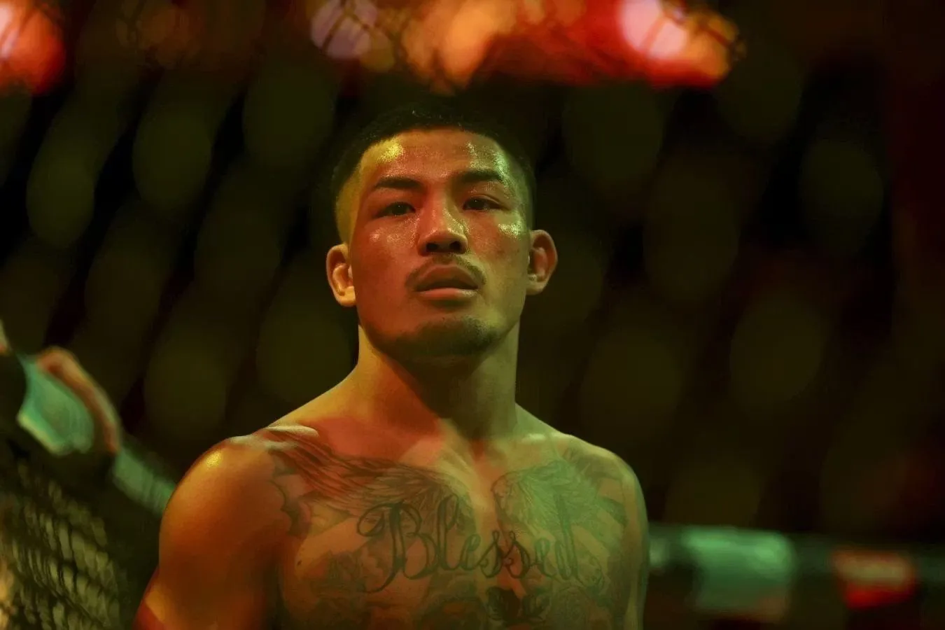 Joshua Van va Aleksandr Panojining revanshi UFC 331 turnirini boshqaradi
