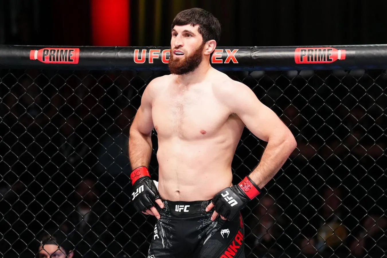 Ankalayev Xabib, Sen-Pyer va Silvani MMA tarixidagi eng buyuk 5 jangchi qatoriga kiritmadi