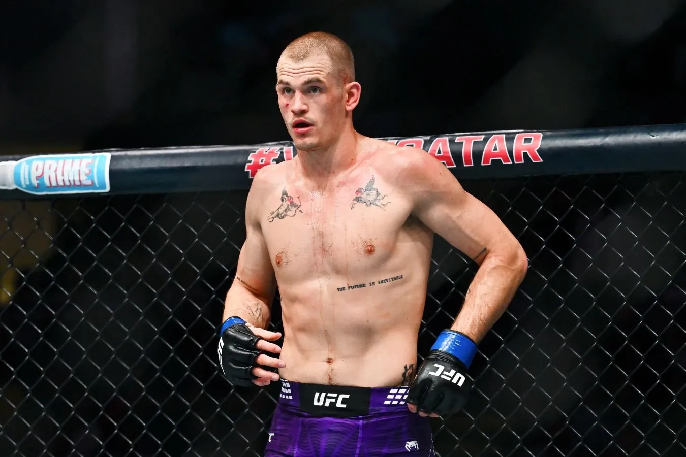 "Tarixdagi eng buyuk MMA jangchilaridan biri. U yaxshiroq ish qila olardi." Ian Garri-Habib haqida