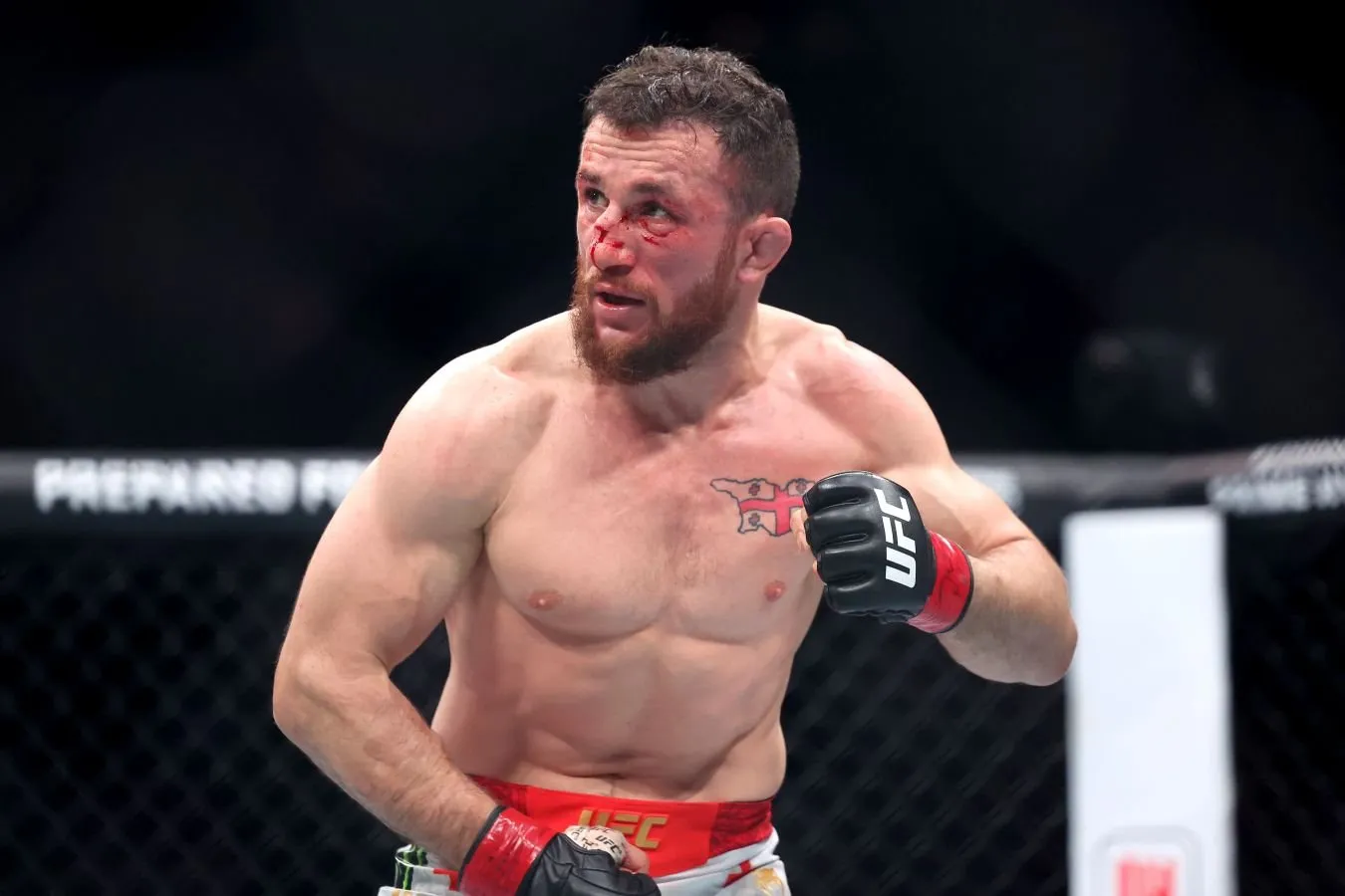 Video: Mark Tsukerberg va Merab Dvalishvili sparring o'tkazdilar va bir-birlarini dengizga tashladilar