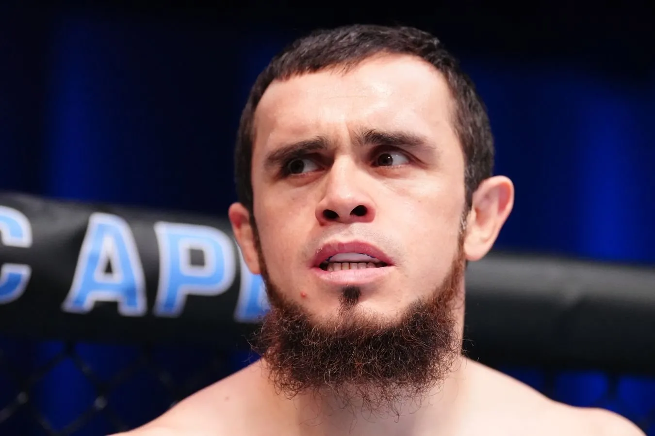 Magomed Zaynukov Maxachev va Rahmonov o'rtasidagi jangda kim g'alaba qozonishini aytdi
