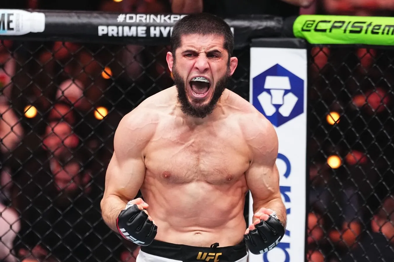"Ular Xitoyda ishlab chiqarilganmi? Dana Uaytga Qo'ng'iroq Qiling." Maxachev UFC qo'lqoplarining sifatidan g'azablandi