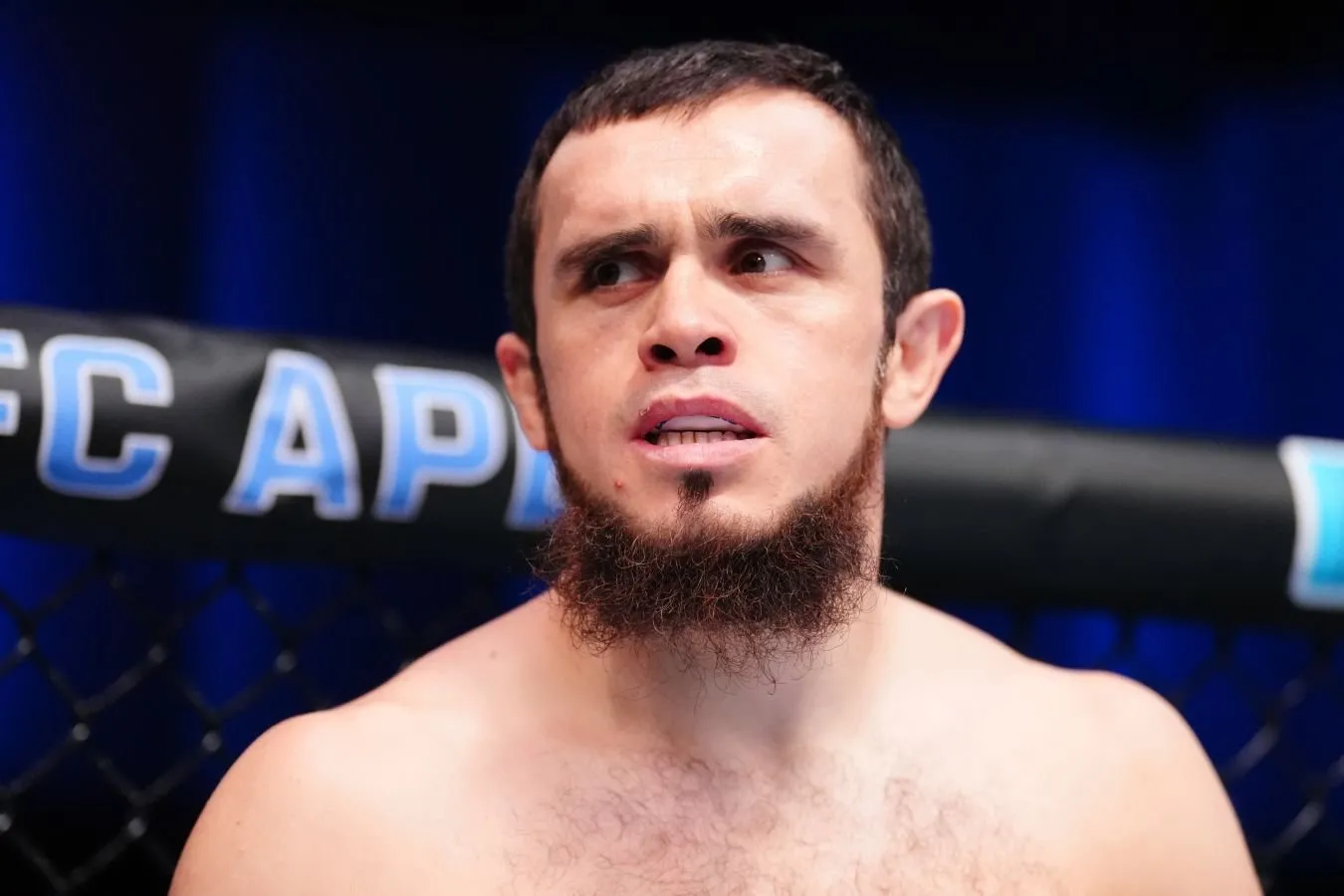 Demetrius Jonson Magomed Zaynukovning UFCdagi istiqbollarini baholadi
