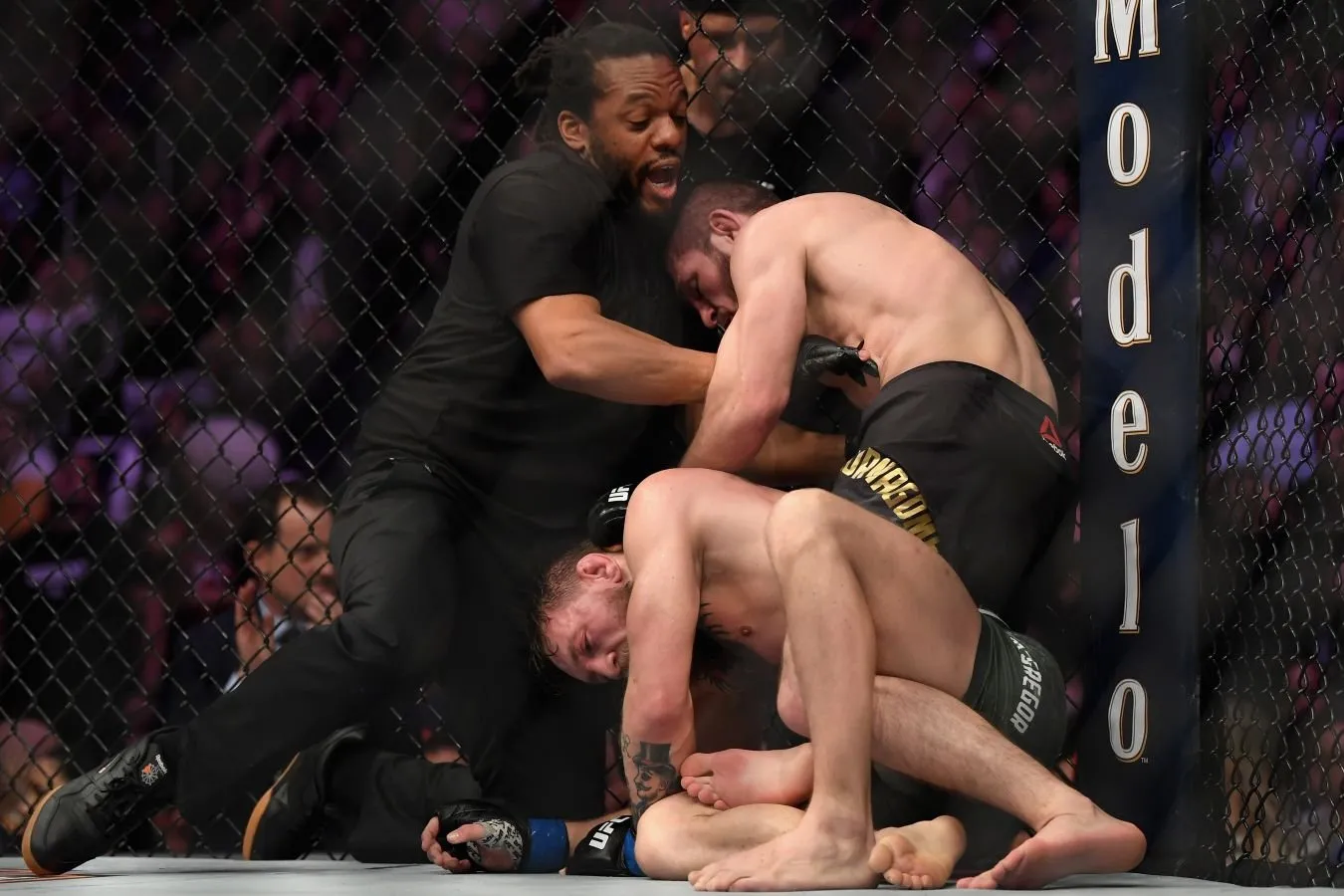 Xabib Nurmagomedov eng yuqori darajadagi muvaffaqiyatga erishgan jangchilar o'rtasidagi farq nima ekanligini aytib berdi