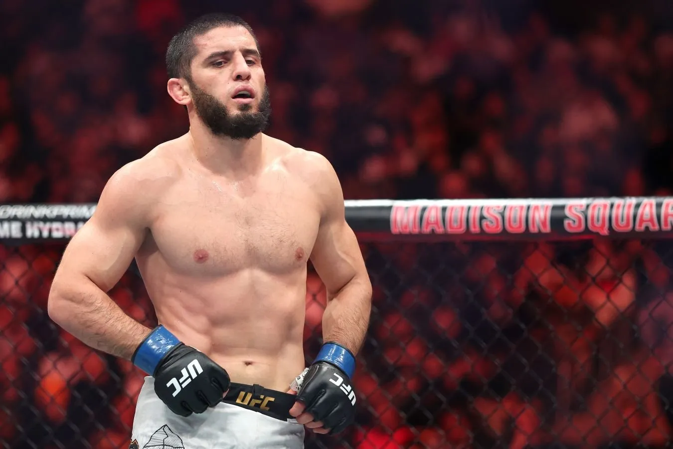 "Men tushunmadim." Maxachev-o Garri UFC 330 jangidan oldingi matbuot anjumanidan so'ng