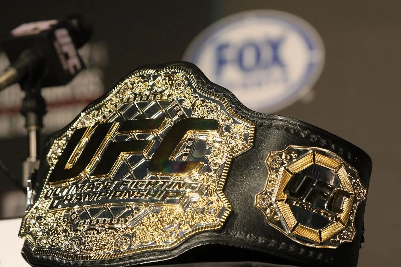 UFC 330: turnirning onlayn translyatsiyasi boshlandi