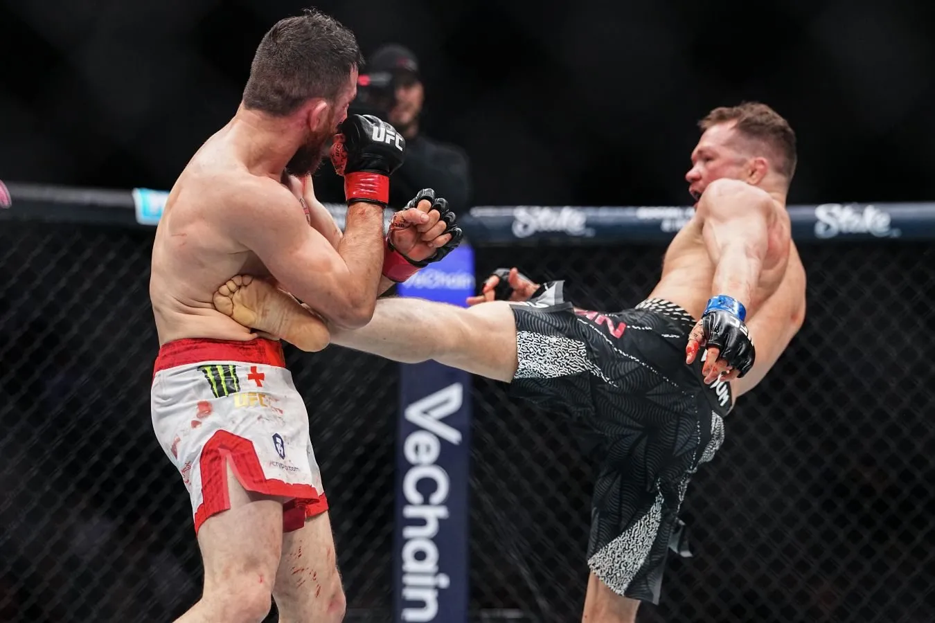 Piter Yan UFC 333 da Dvalishvili bilan bo'lajak jang haqida gapirdi