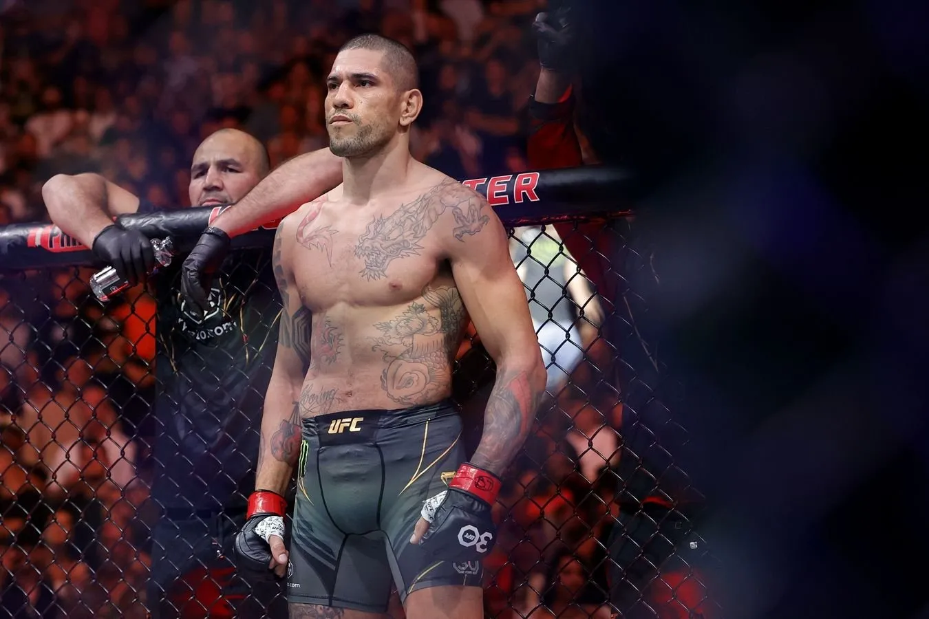 Pereyra jamoasi skanadal mag'lubiyatsiz UFC jangchisi bilan jang qilishga rozi bo'ldi