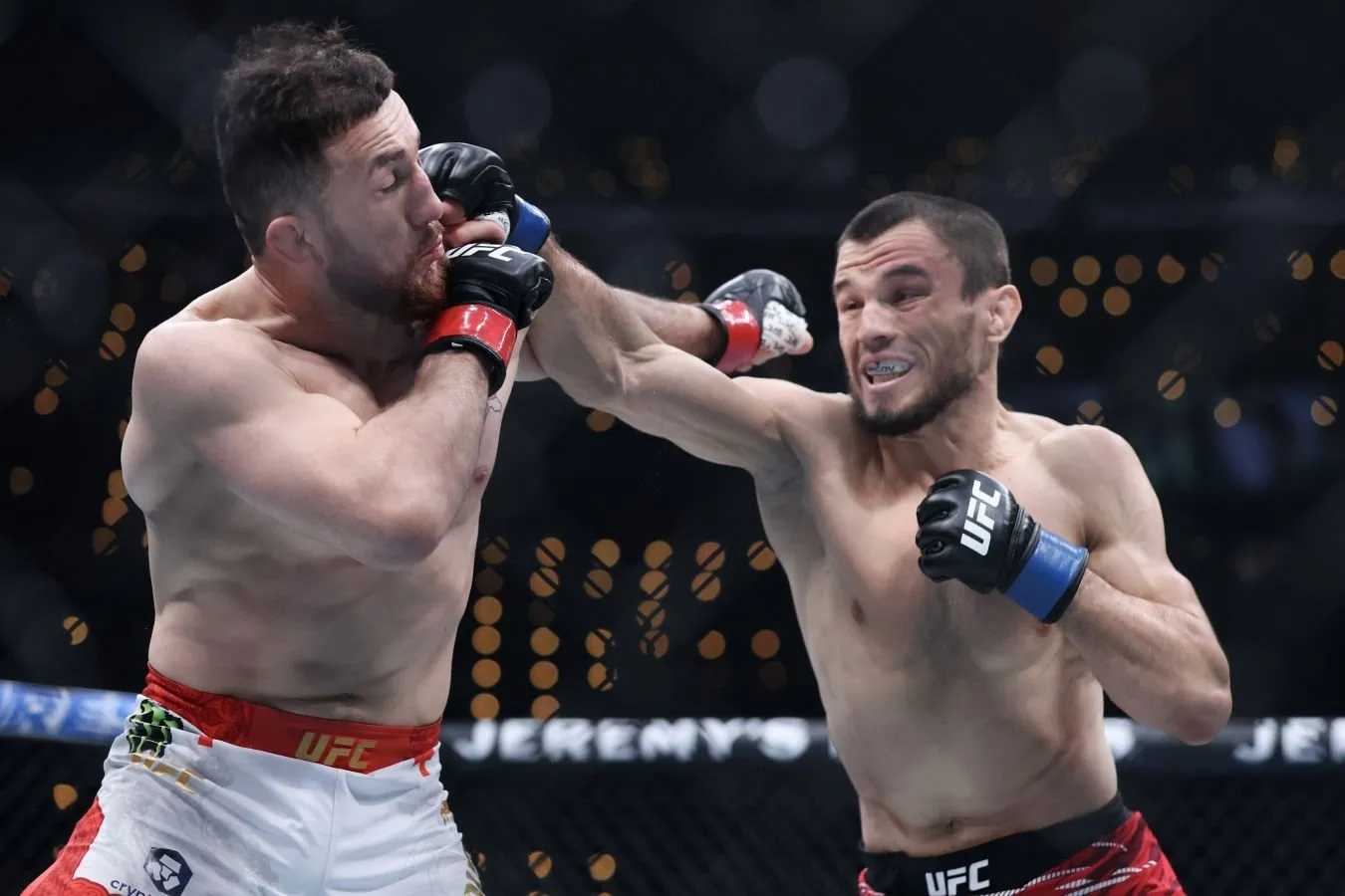 Merab Dvalishvili: oxir-oqibat, ertami-kechmi Umar Nurmagomedov bilan jang qilamiz