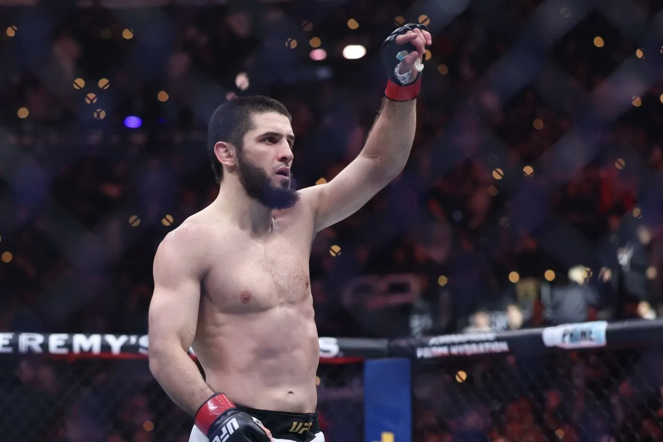 Mahachev Dvalishvilining UFC 330 da Rossiya bayrog'i ustidan noroziligiga munosabat bildirdi