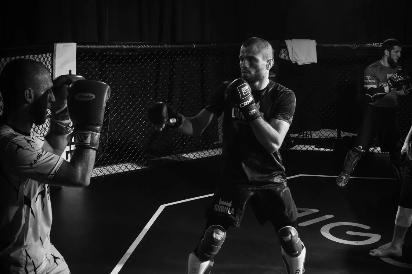 "Yuragingizni mustahkamlang." Umar Nurmagomedov Song Yadong bilan jangga qanday tayyorgarlik ko'rayotganini ko'rsatdi